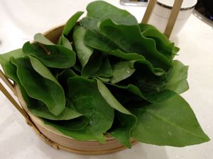 Greens for vegan hotpot at Wutai Yun Vegan & Organic Restaurant, grown on their own organic farm. at Wutai Yun in Beijing