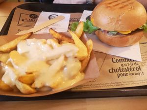 S. Pepper with French fries and vegan cheese at Hank Cuisine Végétale in Lyon