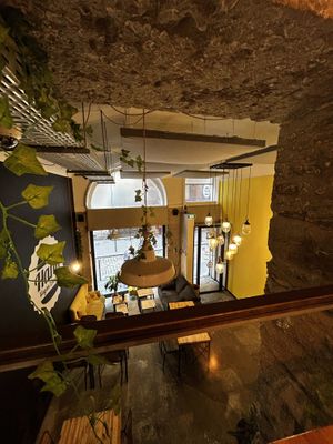   at Hank Cuisine Végétale in Lyon