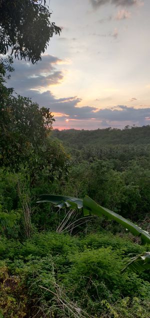  at Vegan Soul Kitchen in Penida Island