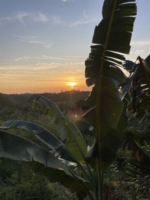 sunset 😍  at Vegan Soul Kitchen in Penida Island