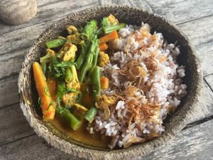 Tempeh coconut Curry 🍛   at Vegan Soul Kitchen in Penida Island