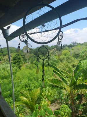 Most beautiful view at Vegan Soul Kitchen in Penida Island