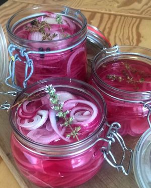 Pickles at Living in Geel