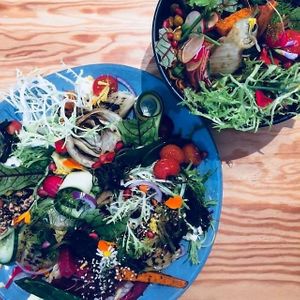 Loads of veg at Living in Geel