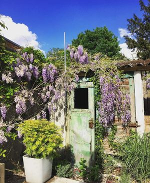 Chill out garden at Living in Geel