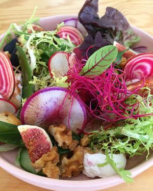 Goat cheese salad at Living in Geel