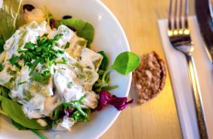 Starter at Bon Lloc in Mallorca