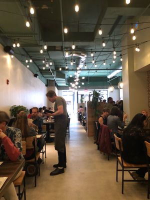 Interior  at Fancy Radish in Washington