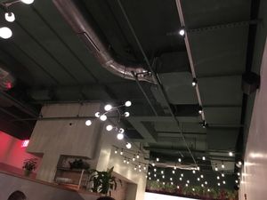 Nice lights at Fancy Radish in Washington