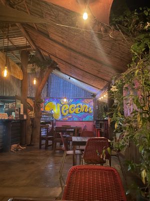 Inside. 
 at Mi Vegano Favorito in San Jose Del Cabo