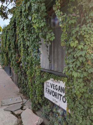  at Mi Vegano Favorito in San Jose Del Cabo