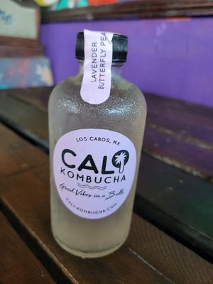 Locally brewed kombucha at Mi Vegano Favorito in San Jose Del Cabo