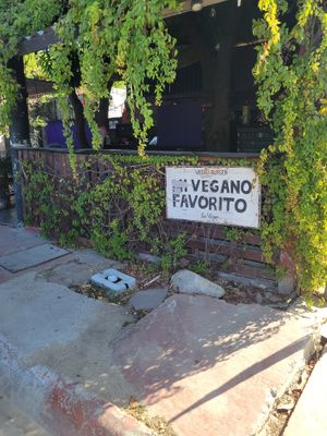 Outside at Mi Vegano Favorito in San Jose Del Cabo