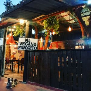 welcome  at Mi Vegano Favorito in San Jose Del Cabo