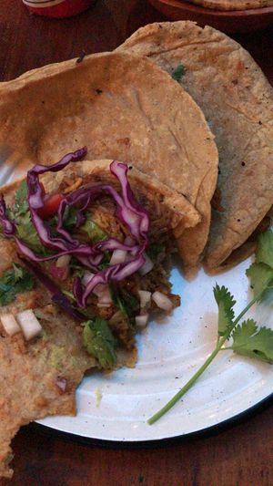 Cochinita tacos 🤤 at Mi Vegano Favorito in San Jose Del Cabo