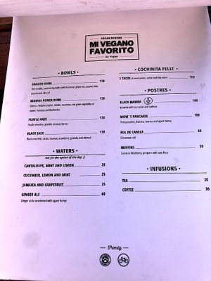 Menu at Mi Vegano Favorito in San Jose Del Cabo