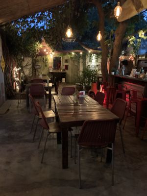 Seating at Mi Vegano Favorito in San Jose Del Cabo