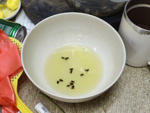 Houseflies everywhere at Andy Toh in Yong Peng
