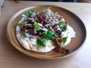 Pita bread with shoarma at Wildgroei in Delft