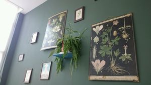 beautiful at Wildgroei in Delft