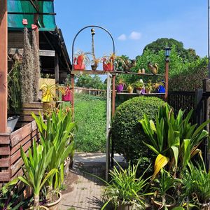  at BP Dragonfly Garden (农田素食小馆) in Penang