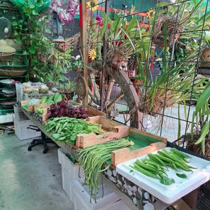  at BP Dragonfly Garden (农田素食小馆) in Penang
