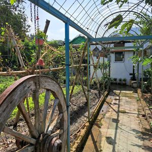  at BP Dragonfly Garden (农田素食小馆) in Penang