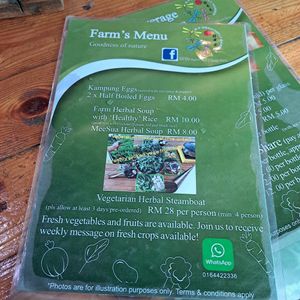  at BP Dragonfly Garden (农田素食小馆) in Penang