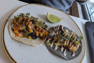 Vegan tacos at South Street Kitchen in Sheffield