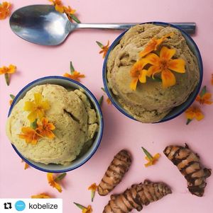 Golden Milk Vegan Ice-cream our Turmeric Latte Ice-cream ..DELICIOUS!!! at Martha's Cafe Belize in Belize City