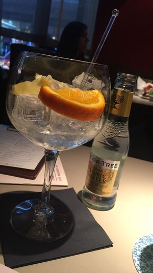 Local gin at Joma in Vienna