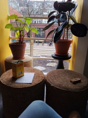  at Karibu Cafe in Utrecht