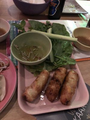 Fried vegan eggrolls  at Anan Saigon Streetfood in Utrecht