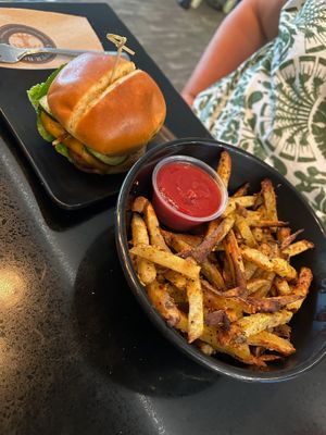 Galaxy burger and fries at Copper Branch in Edmonton
