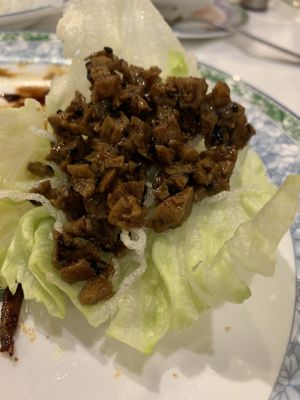 Ants climbing a tree ! at Chino Playa in Torremolinos