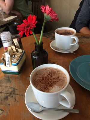Vegan hot chocolate at Leafy Greens Cafe in Westport