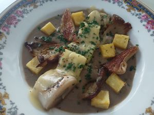 Delicious stroganoff leak at Vegani in Sevilla