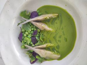 Pea cold soup (special of the day) at Vegani in Sevilla