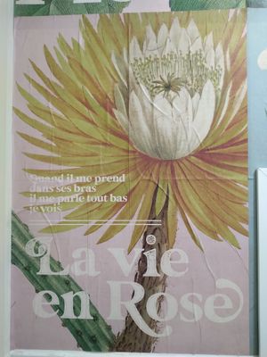  at Chocolate Lab in Belo Horizonte