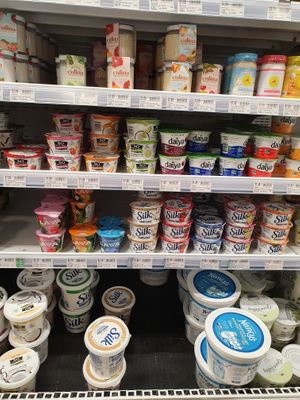 Vegan yogurt  at Natural Grocers - MLK in Portland