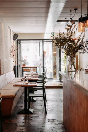  at Yerba in Amsterdam