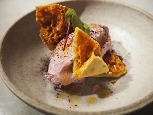 Pickled red cabbage sorbet, agave rosemary comb and cacao crumble  at Yerba in Amsterdam