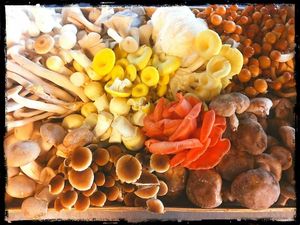 Seasonal best at Yerba in Amsterdam