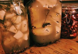 Fermented kholrabi  at Yerba in Amsterdam