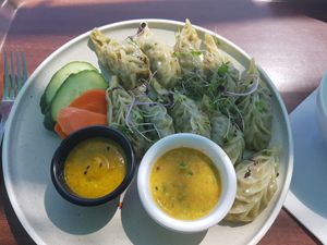 Nepalese momo *chefs kiss* at Darwin Trailer Boat Club in Fannie Bay