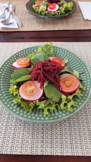 Salada do dia at Vida Bistro in Rio De Janeiro