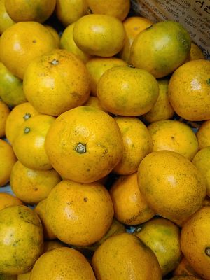 Organic and additive free Mikan (Japanese mandarin) from Ehime pref.
You can also enjoy the skin ! at Demineiya in Osaka