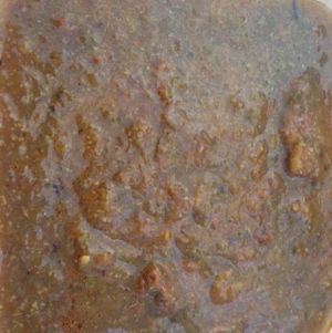 veggie chicken (stew) at Vegetarian Paradise in Decatur