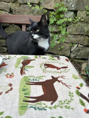   at Scarthin Books Cafe in Cromford